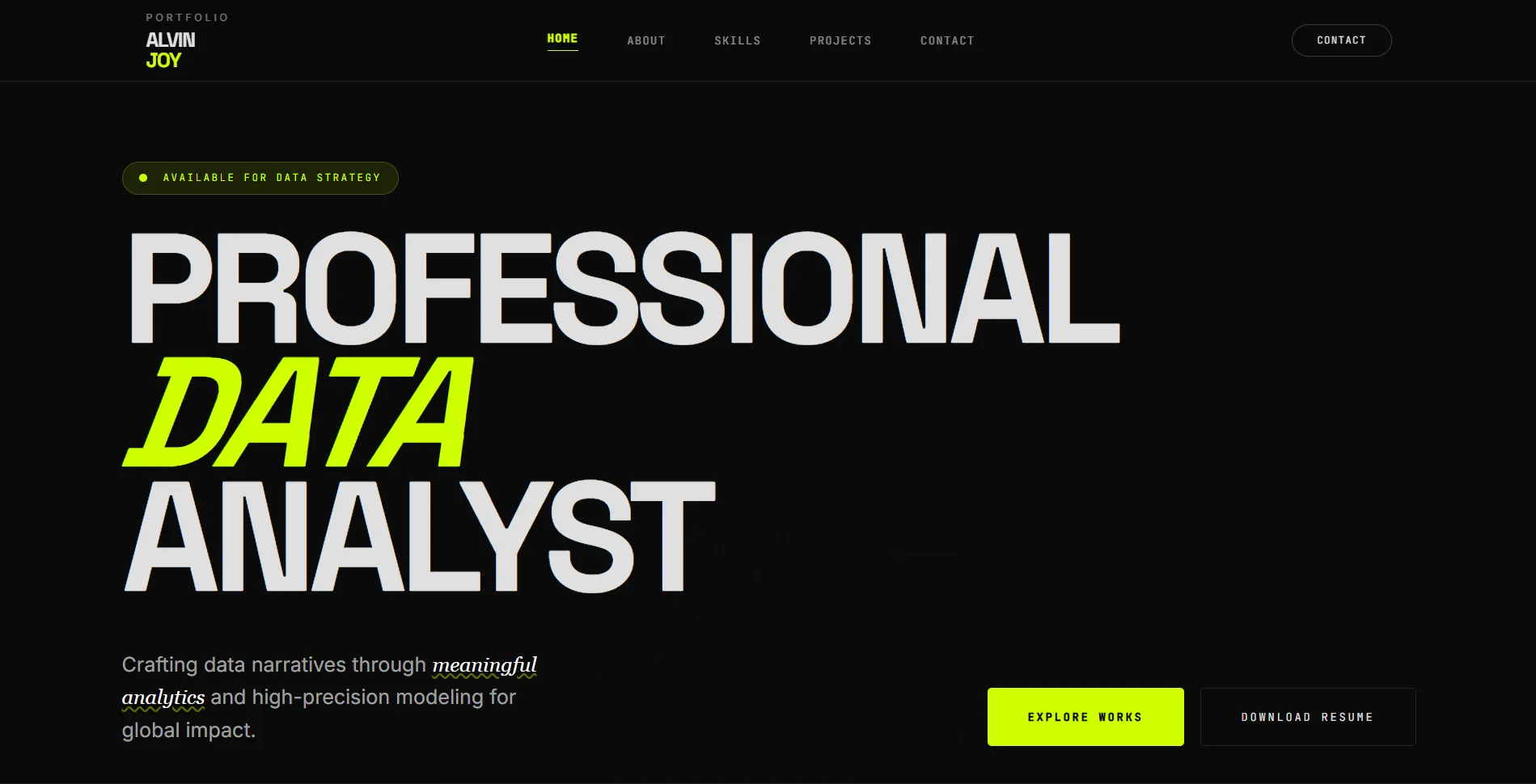 Portfolio Website Showcase